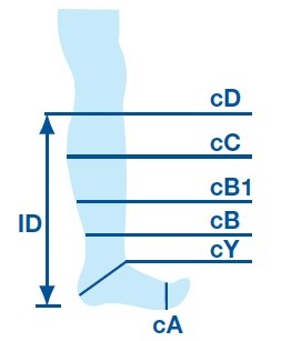 Sigvaris Measurement Guide